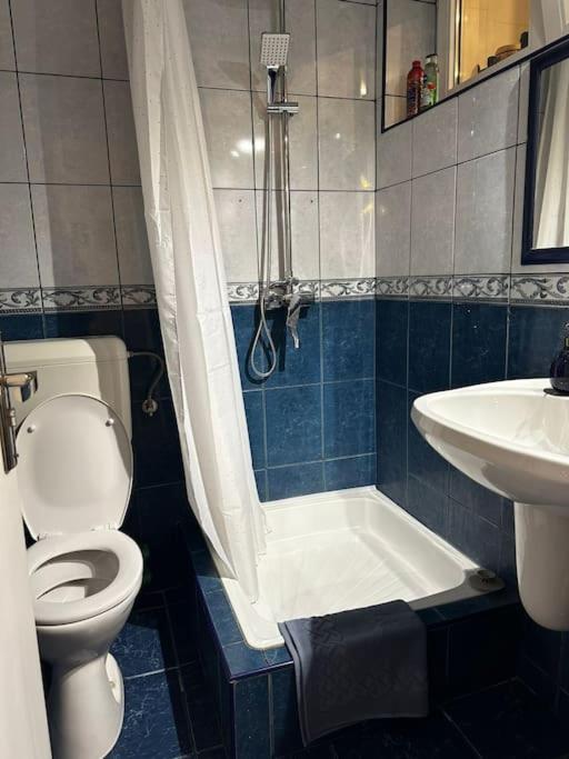 דירות בוקרשט Studio Cozy Piata Victoriei מראה חיצוני תמונה